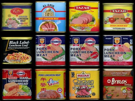 what are other forms of survival food similar to spam